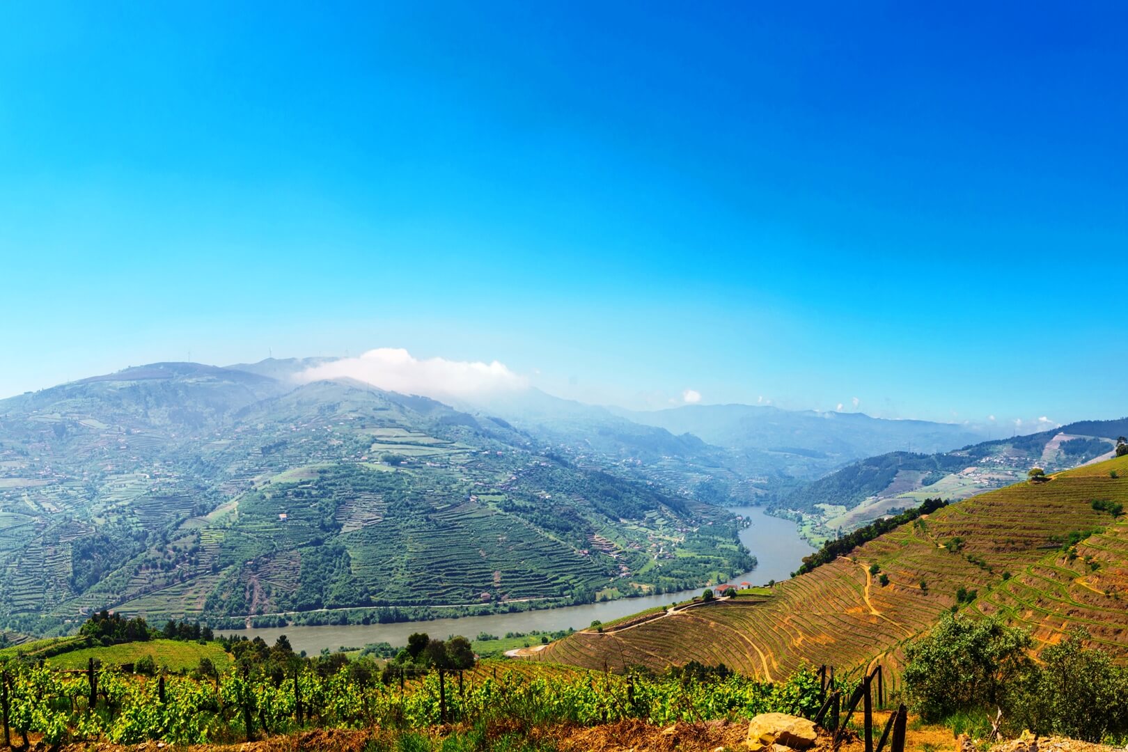 DOURO-TAL PORTUGAL, PORTWEIN, PORTUGIESISCHE WEINE, PORTUGAL | Oberes Dourotal, Cima Courgo, Baixo Corgo